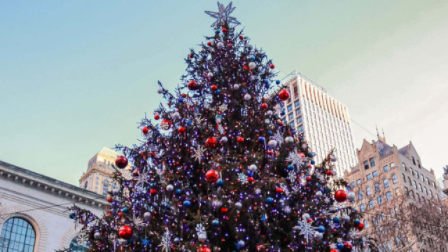 L'oroscopo di domani 11 dicembre: Leone risale la china nel lavoro, Vergine 'ko' (1^ met&agrave;).