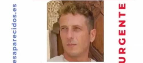 Los vecinos realizaron varias batidas en Alzira (X/@sosdesaparecido)