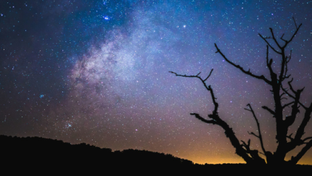 Previsioni astrologiche e classifica del 7 dicembre.