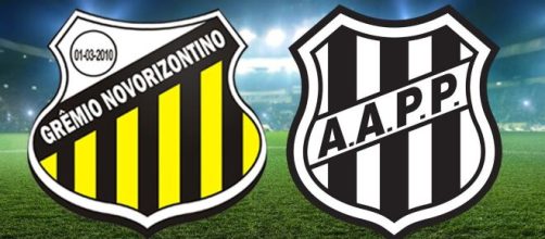 Onde assistir Novorizontino x Ponte Preta ao vivo (Arte/Eduardo Gouvea)