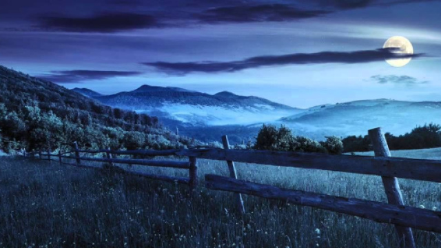 Oroscopo e voti del 2 febbraio: Scorpione deluso, Acquario protettivo.