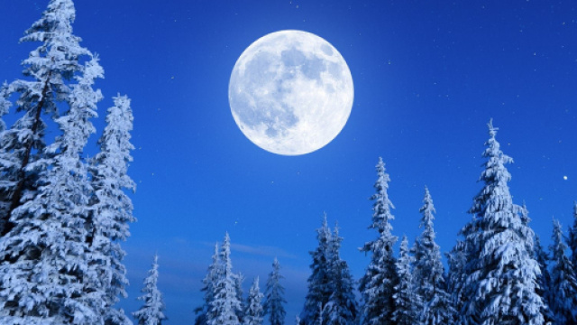 L'oroscopo di domani, venerd&igrave; 17 febbraio: Leone e Gemelli top su tutta la linea (1&ordf; met&agrave;).