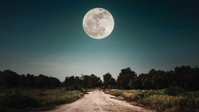 Oroscopo e voti del 20 febbraio: Toro coraggioso, Cancro curioso.