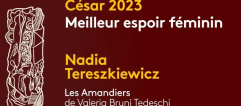 Césars 2023 : « La Nuit du 12 » a été récompensé à plusieurs reprises, Brad Pitt encore présent
