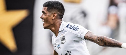 Santos est&aacute; na briga por vaga nas quartas (Reprodu&ccedil;&atilde;o/Twitter/@SantosFC)