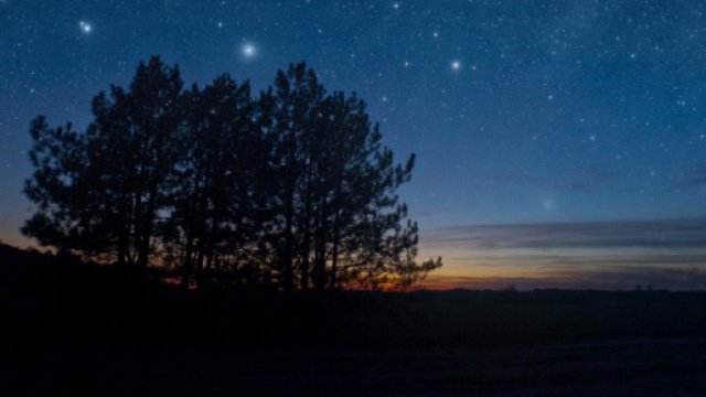 Oroscopo del 1&deg; marzo 2023: Leone energico, Acquario divertito.