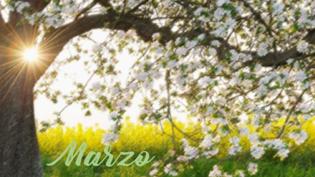 L'oroscopo del mese di marzo 2023.