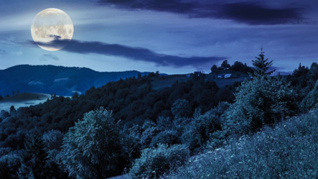 Previsioni astrologiche e voti del 5 febbraio: Leone espansivo, Pesci timidi.