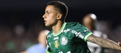 Palmeiras venceu o Santos (Reprodu&ccedil;&atilde;o/Twitter/@Palmeiras)