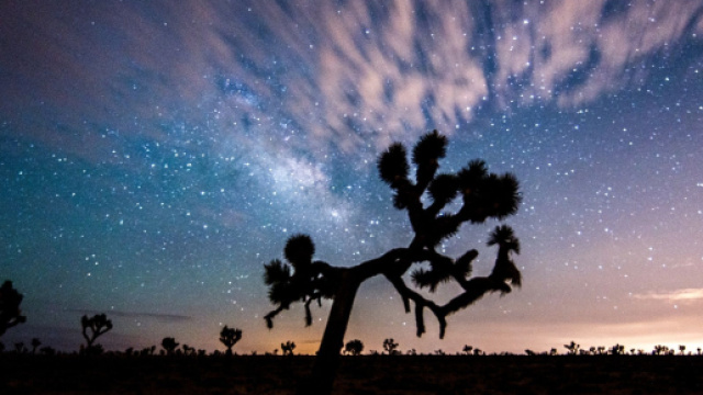 Oroscopo e voti del 9 febbraio: Sagittario lusingato, Pesci titubanti.