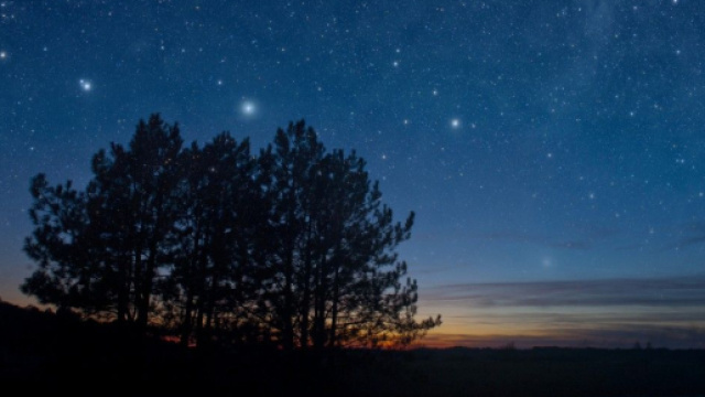 Previsioni astrologiche e voti del 10 febbraio: Ariete responsabile, Scorpione carismatico.