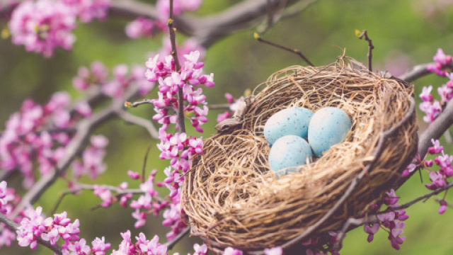 L'oroscopo e classifica di primavera 2023, amore: Scorpione e Cancro al 'top'.