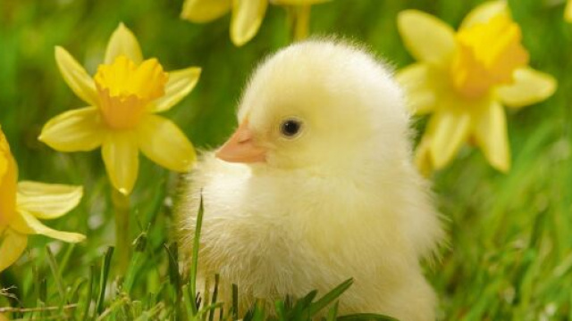 L'oroscopo e classifica di gioved&igrave; 16 marzo: Scorpione in testa.