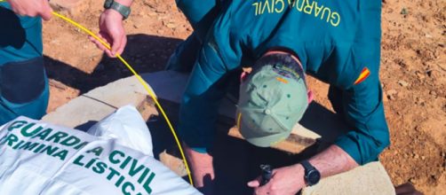 La Guardia Civil comparti&oacute; una imagen del procedimiento en la finca (Twitter, guardiacivil)