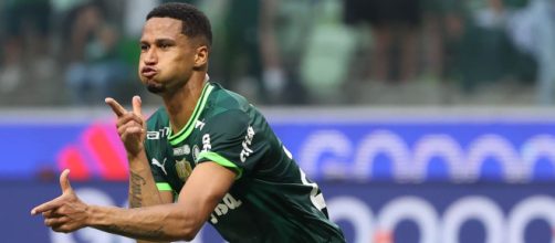 Palmeiras esta na final do campeonato Paulista (Cesar Greco/Palmeiras)
