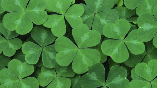 L'oroscopo e posizioni del 4 e 5 marzo, fortuna: Leone al primo posto.