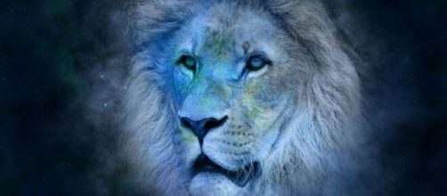 Caracter&iacute;sticas do signo de le&atilde;o (Reprodu&ccedil;&atilde;o/Pixabay)