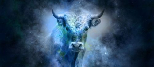 Caracter&iacute;sticas do signo de touro (Reprodu&ccedil;&atilde;o/Pixabay)