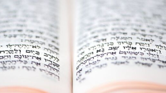 Image du Torah , ri_ya@Pixabay