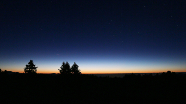 Oroscopo e classifica del 25 marzo: Bilancia sensibile, Scorpione audace.