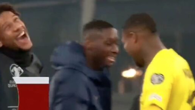 Maignan impressionnant face &agrave; l'Irlande ce lundi. (screenshot Twitter - @HRivayrand)