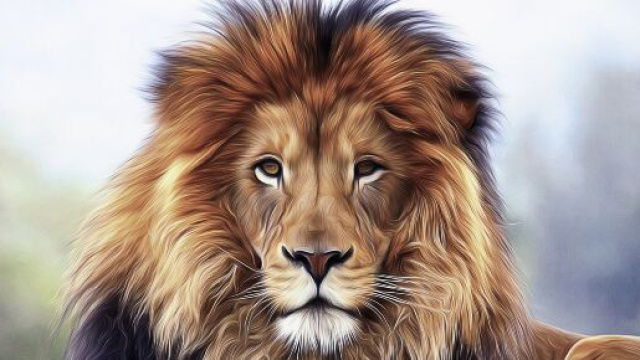 L'oroscopo del 4 marzo, pagelle: giornata da otto per Leone.