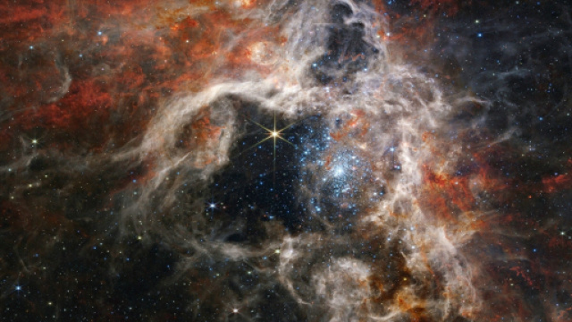 Oroscopo e classifica del 31 marzo: Sagittario instabile, Acquario gentile.