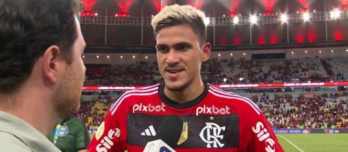 Pedro &eacute; um dos artilheiros do Flamengo (Reprodu&ccedil;&atilde;o/TV Globo)