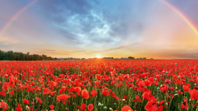 L'oroscopo e classifica di venerd&igrave; 21 aprile: Leone e Bilancia in testa.