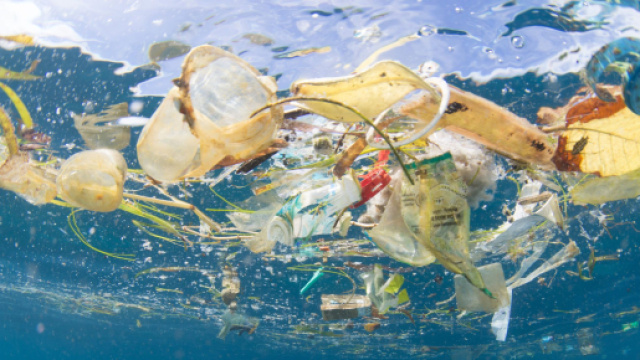 Microplastiche, la minaccia silenziosa che arriva sulle nostre tavole