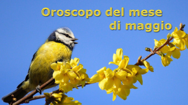 Oroscopo e pagelle del mese di maggio 2023: Toro e Gemelli 'voto 10'