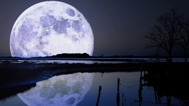 Previsioni zodiacali e classifica del 22 aprile: Scorpione rilassato, Acquario sorpreso.