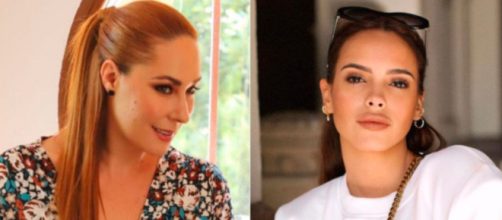 La cantante record&oacute; que Gloria Camila hab&iacute;a realizado un par&oacute;n medi&aacute;tico (Instagram, @rosariomohedano, @gloriacamilaortega)