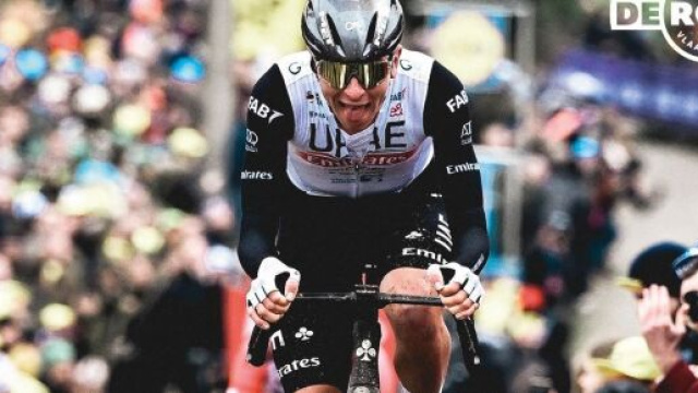 Ciclismo, Tadej Pogacar al Giro delle Fiandre.