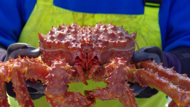 Granchio vestito, un buon piatto di pesce.
