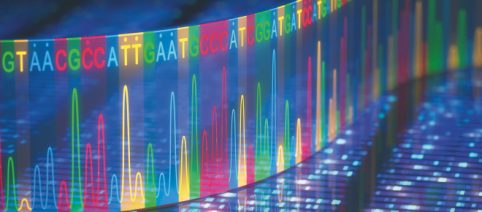 Pangenoma umano, un nuovo riferimento per la ricerca genetica