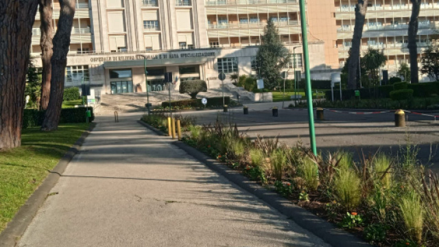 Napoli, raccolgono e mangiano funghi dal bosco dietro l'ospedale: un morto e 4 intossicati