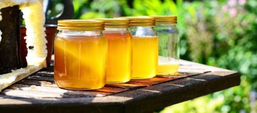 El uso tradicional de la miel se sigue manteniendo en muchas culturas por sus valiosos beneficios (Pixabay)