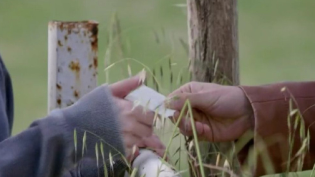 Un Posto al sole: Ida riceve un biglietto