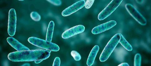 I batteri intestinali potrebbero aiutare nella lotta contro il cancro