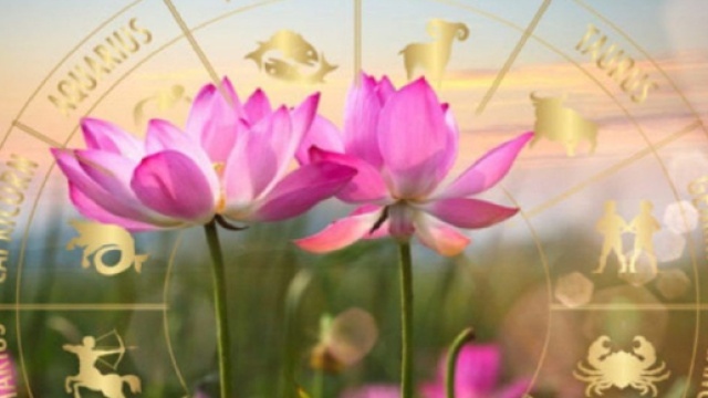 Oroscopo e voti del 23 maggio: Toro comunicativo, Leone socievole.