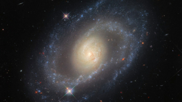 Previsioni zodiacali e classifica del 29 maggio: Scorpione coraggioso, Pesci attenti.