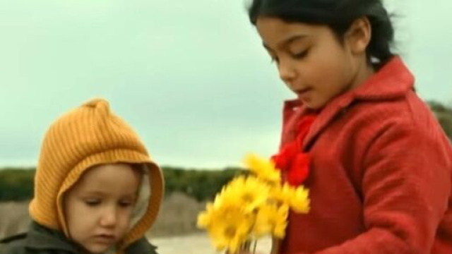 Terra amara, dal 29 maggio al 4 giugno: Uzum e Adnan tornano a casa sani e salvi, Zuleyha tenta il suicidio