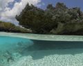 Seychelles, il parco marino di St. Anne compie 50 anni