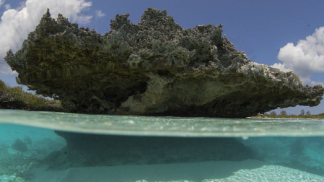 Seychelles, il parco marino di St Anne