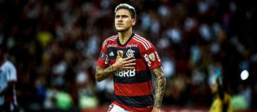 Flamengo volta contra o Goi&aacute;s. (Instagram/@pedroguilherme)