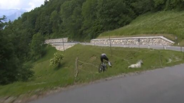 Ciclismo, la caduta di Filippo Zana al Giro di Slovenia.