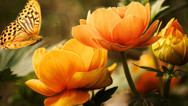 L'oroscopo e classifica di domenica 18 giugno: look rinnovato per Vergine.