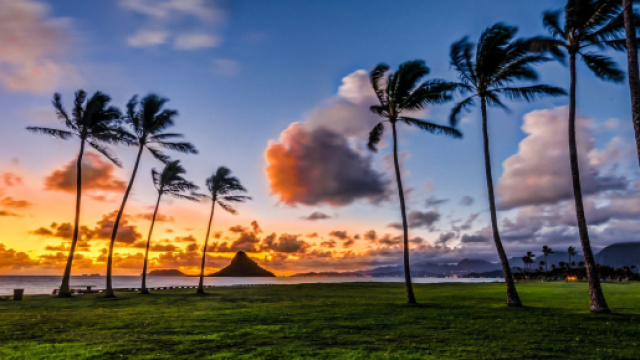L'oroscopo del 26 giugno, Leone possessivo e Ariete molto impegnato