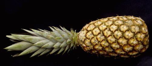 Abacaxi protege o cora&ccedil;&atilde;o (Reprodu&ccedil;&atilde;o/Wikipedia)